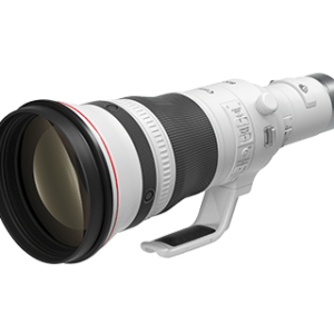 CANON RF 800MM F/5.6 L IS USM LENS