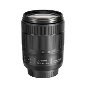 Sony Alpha ILCE 6600M 24.2 MP Mirrorless Digital SLR Camera with 18-135 mm Zoom Lens (APS-C Sensor, Fastest Auto Focus, Real-time Eye AF, Real-time Tracking, 4K Vlogging Camera, Tiltable LCD) Black